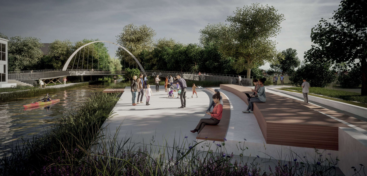 West Park Waterfront Trees